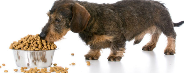 croquettes naturelles pour chiens